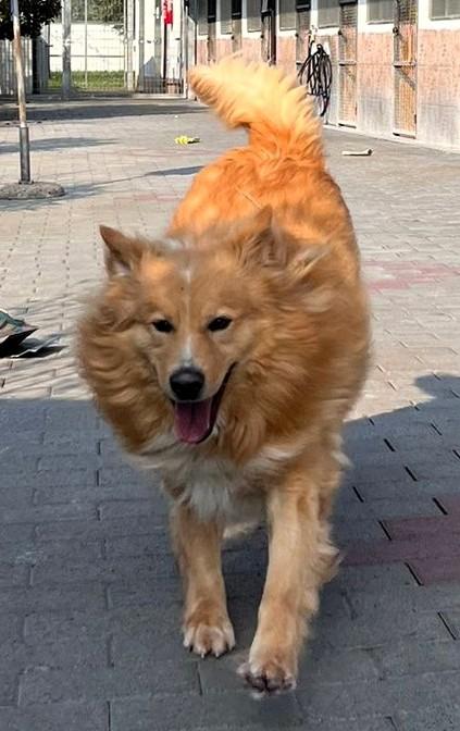 DIOR cerca casa Foto 7